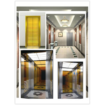 Srh Rose Golden Style Modische Passagier Aufzug